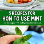 Pinterest photo for 5 recipes how to use mint.