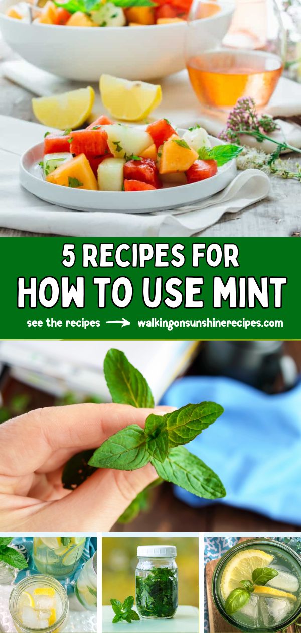 Pinterest photo for 5 recipes how to use mint.