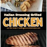 grilled chicken and veggies marinated in Italian Salad Dressing.