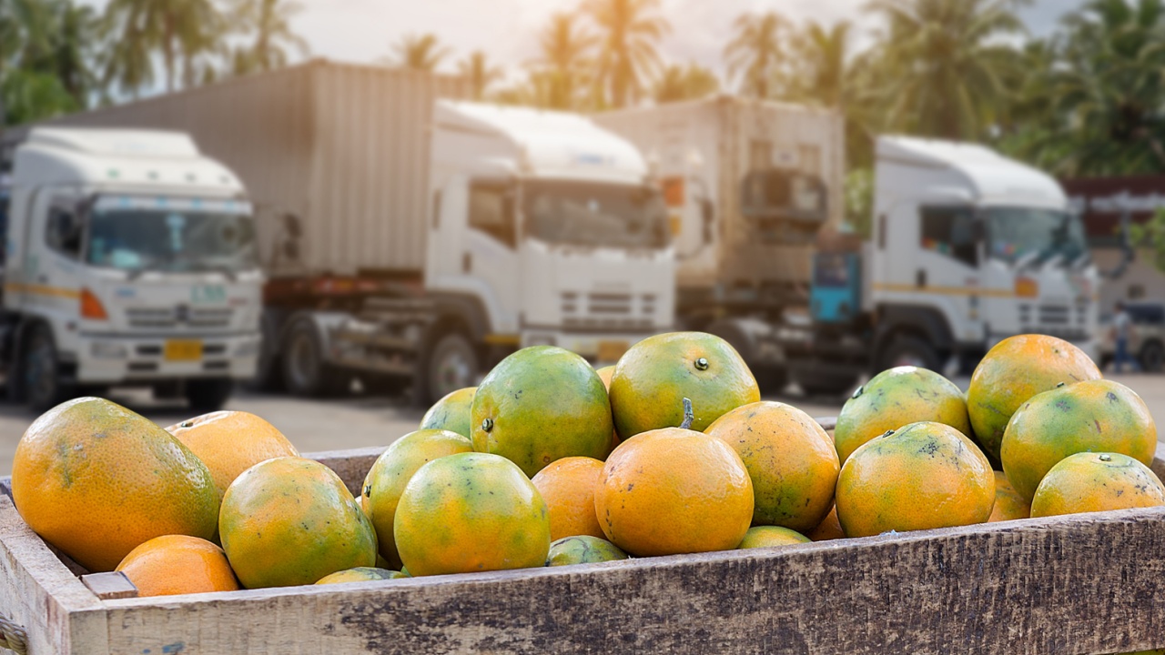 Orange Fruit and food distribution, tropical fruit of Thailand .Truck loaded with containers reefer control by ventilator mode to be shipped to the market.