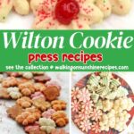 Wilton Cookie Press Recipes