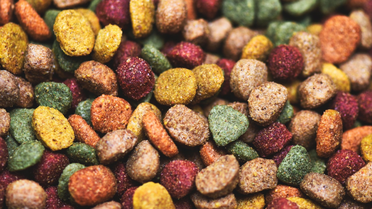 Some multi coloured dog kibble