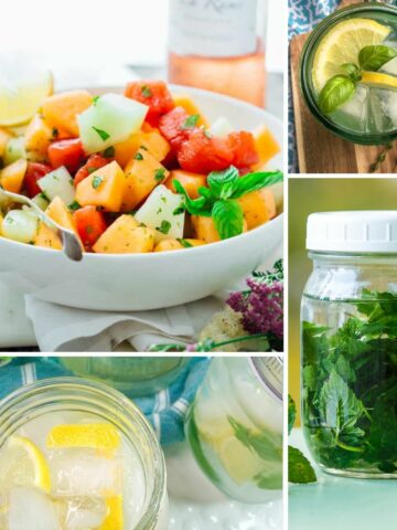 recipes featuring mint.