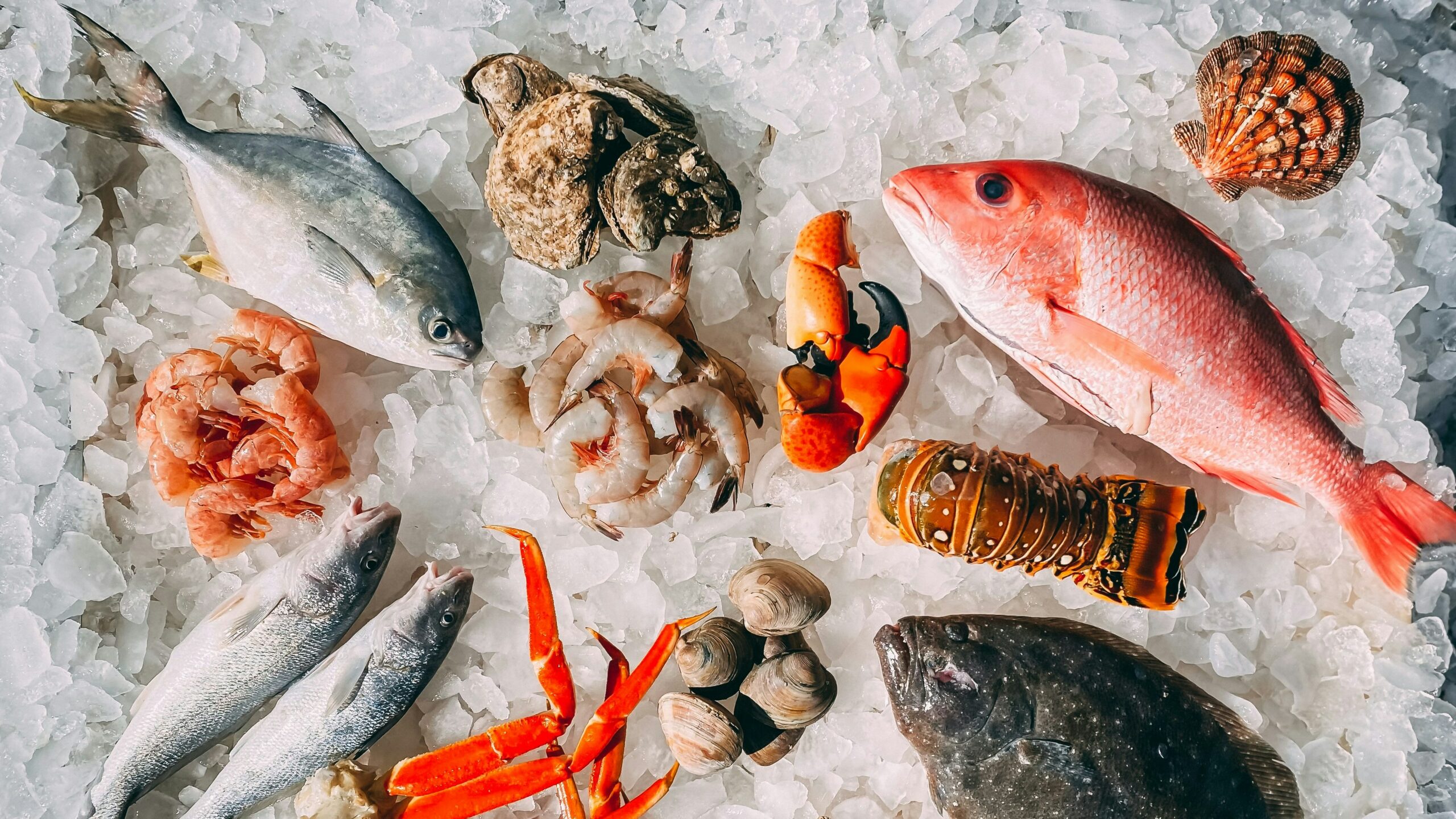 Fresh seafood