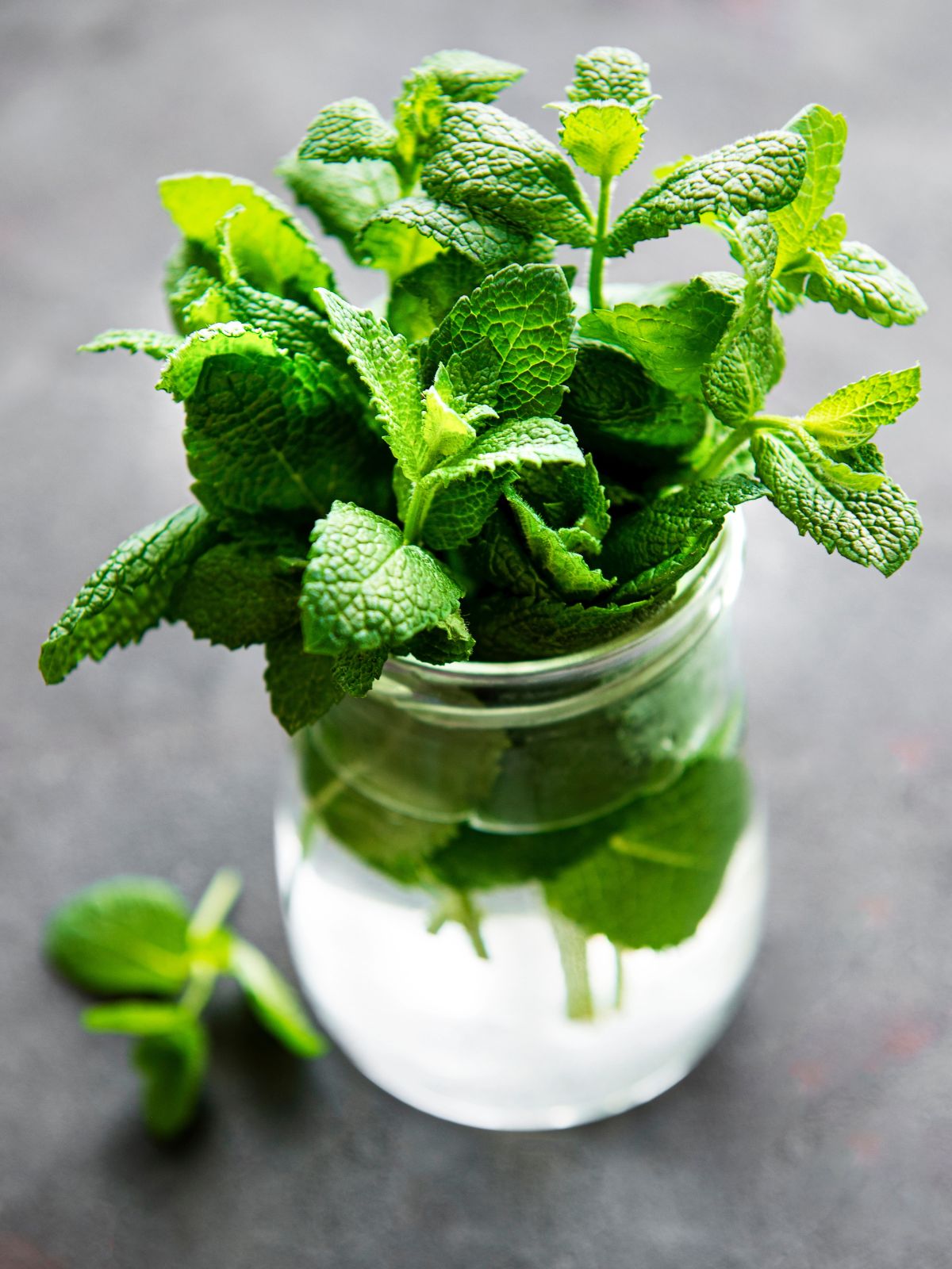 a bunch of mint in mason jar in water.