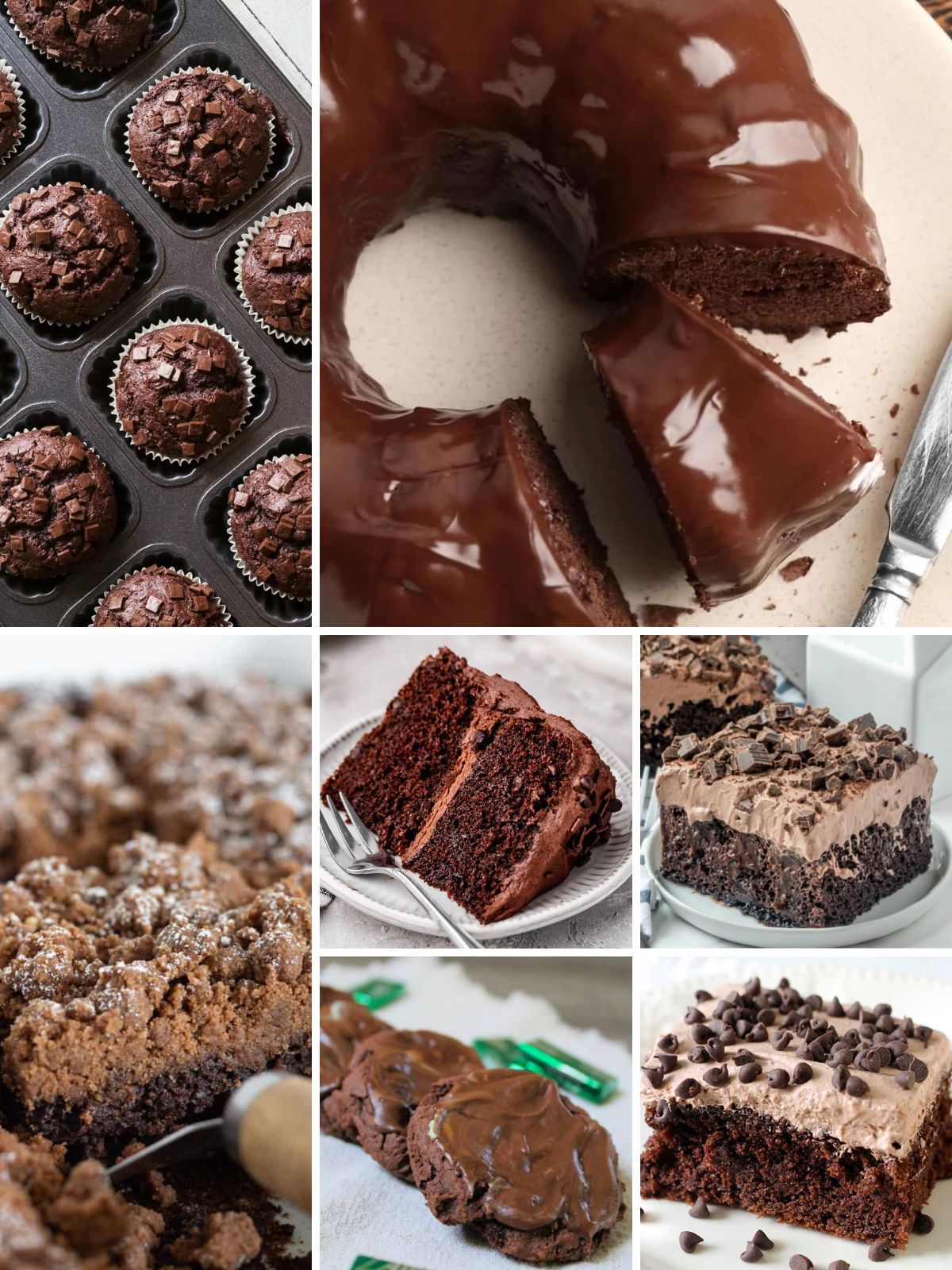 Chocolate Cake Mix Recipes