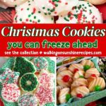 Christmas Cookies you can Freeze Ahead