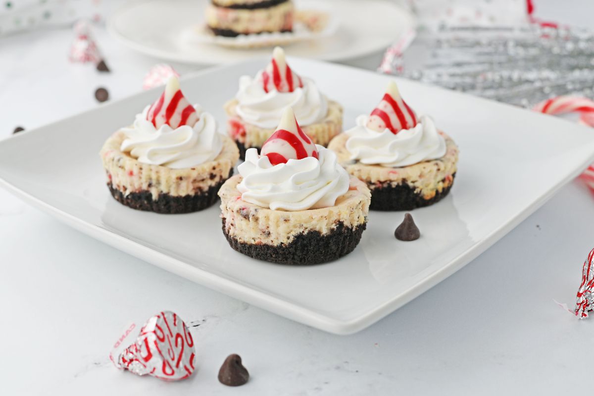 Four mini chocolate chip peppermint chip cheesecakes with oreo crust.