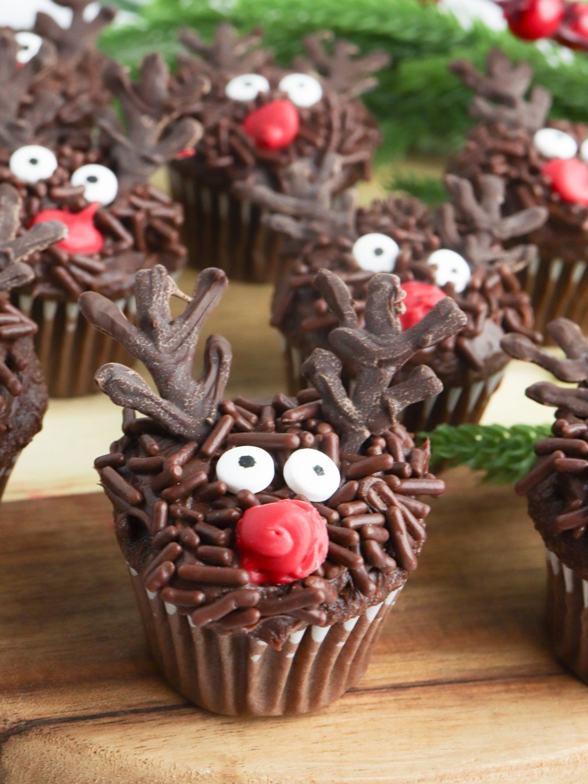 Close up of a chocolate Rudolph the red nose reindeer cupcake.