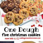 Five Christmas cookies made from one easy basic cookie dough, shown with festive toppings and labeled One Dough Five Christmas Cookies.