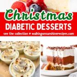 Christmas Diabetic Desserts