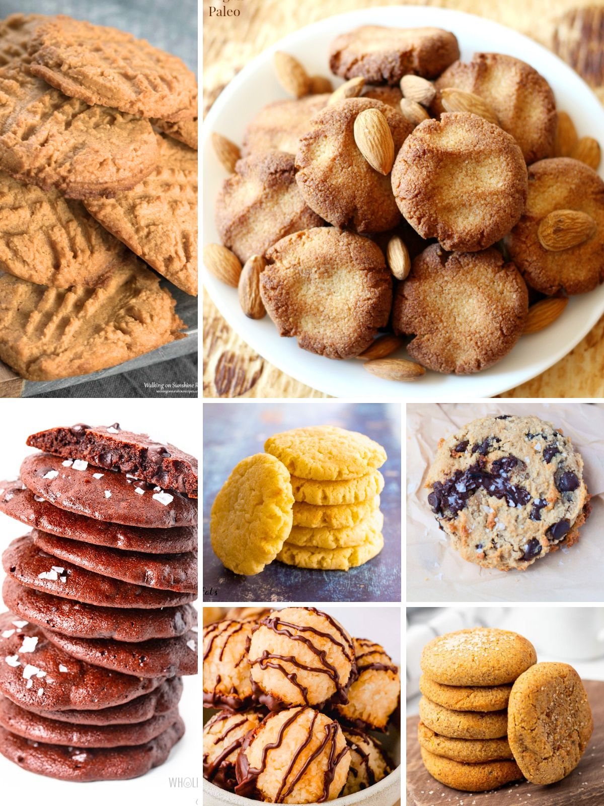 Diabetic Christmas Cookies