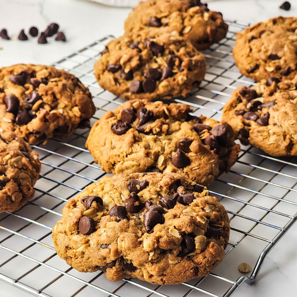 cookies with oatmeal and chocolate chips on cooling rack.