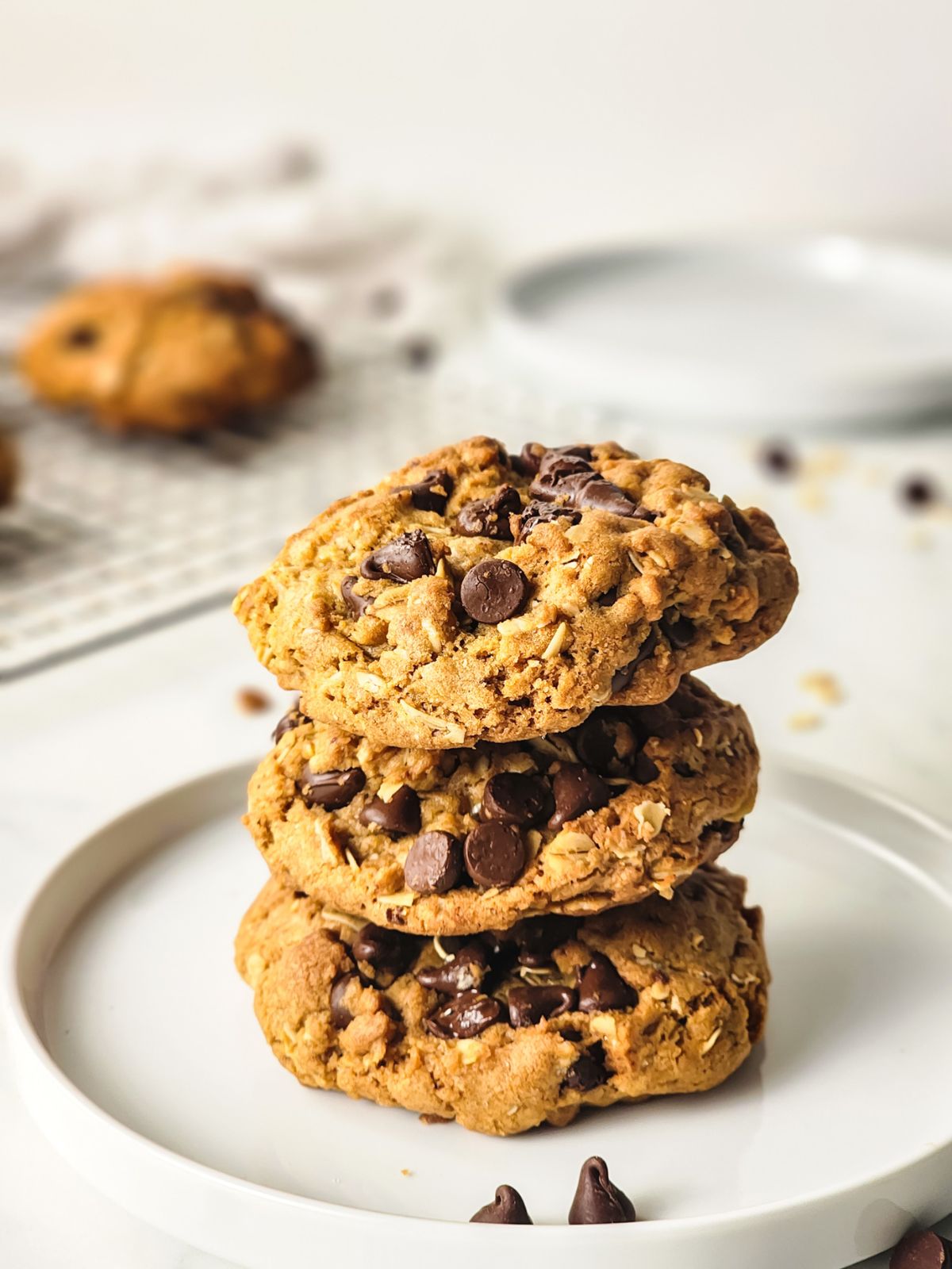stacked oatmeal cookies with chocolate chips on white plate.