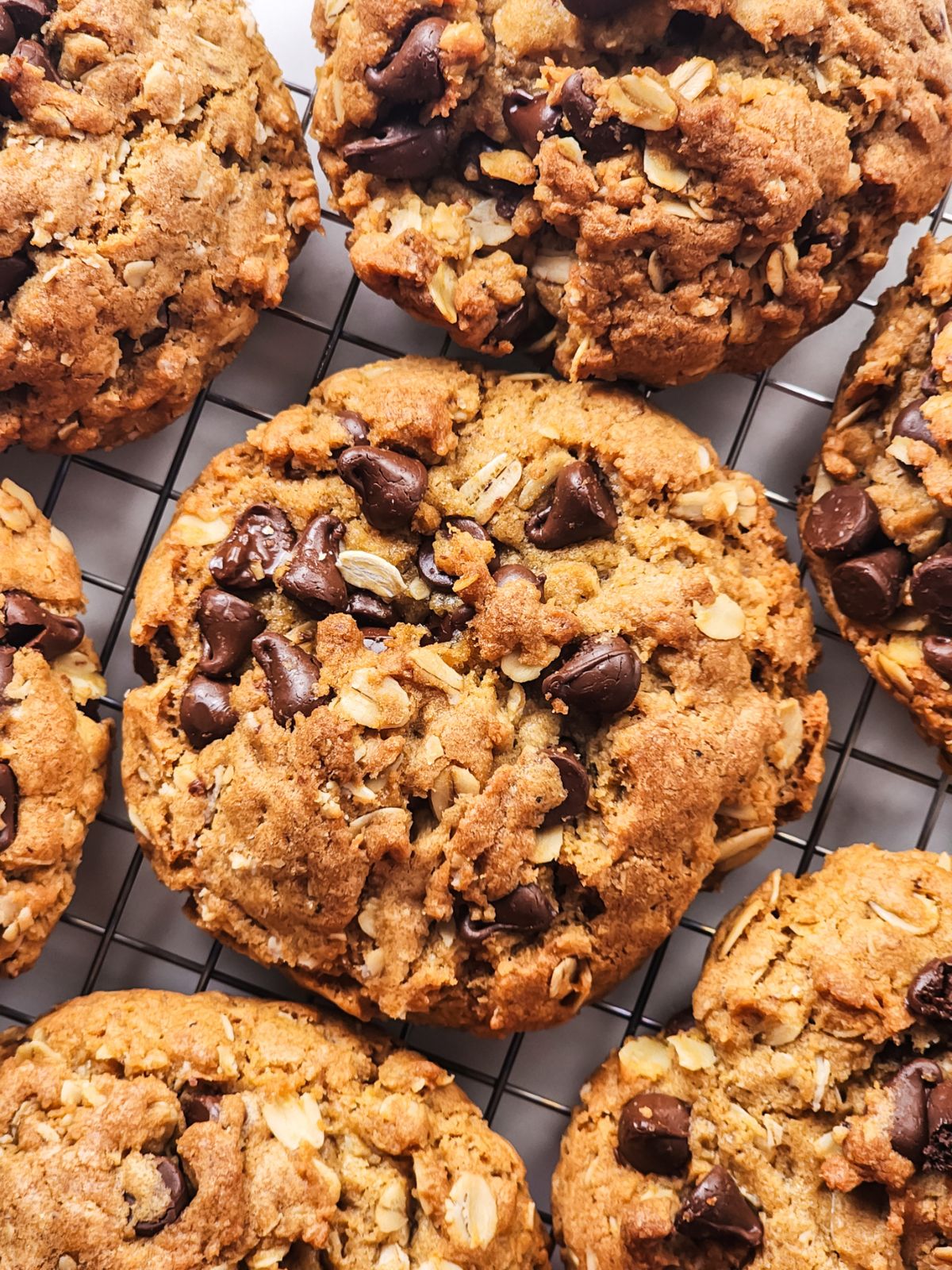 closeup of oatmeal chocolate chip cookies on baking rack.