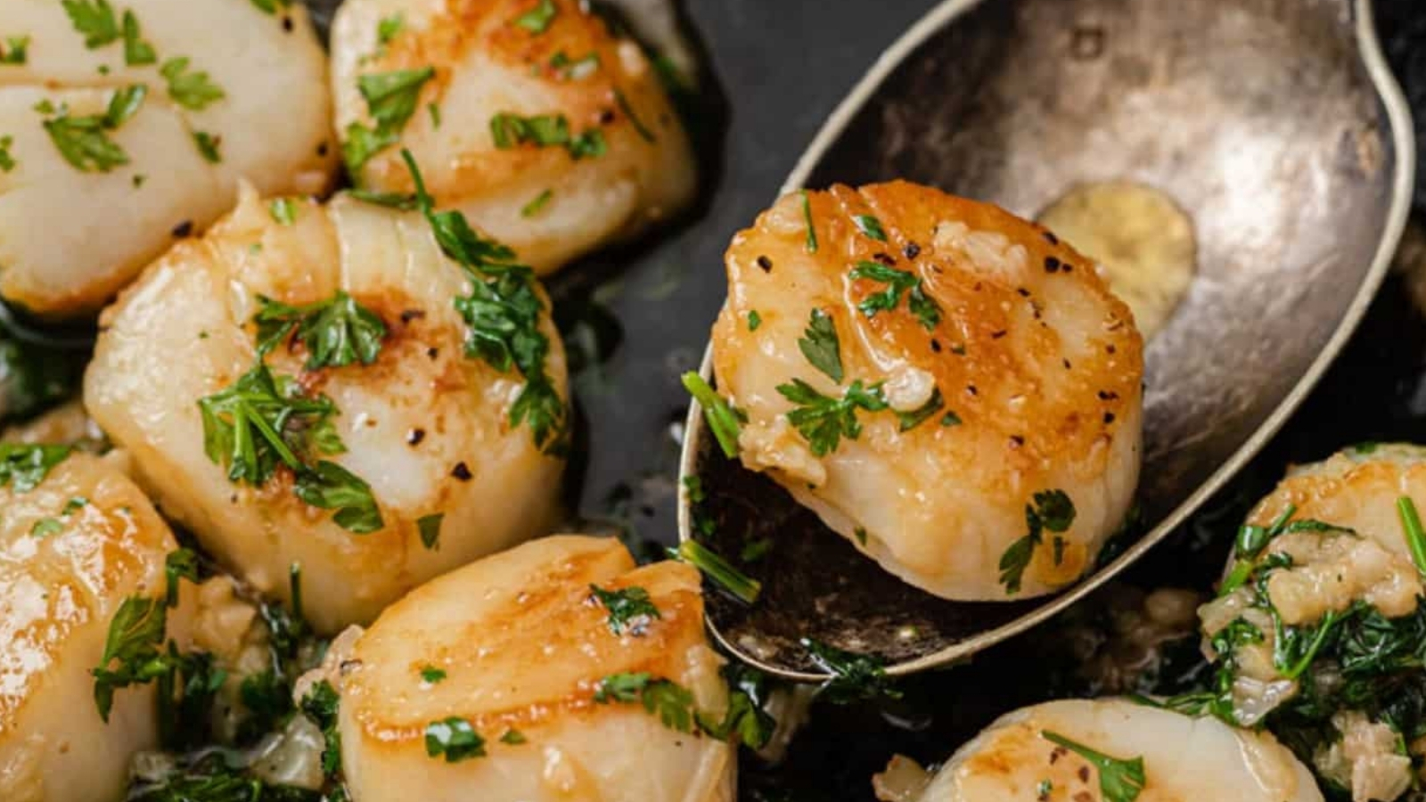 Scallops with parsley and garlic in a skillet.