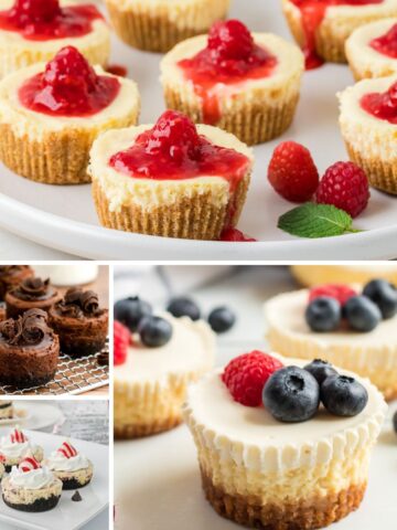 four different mini cheesecake recipes in a collage photo.