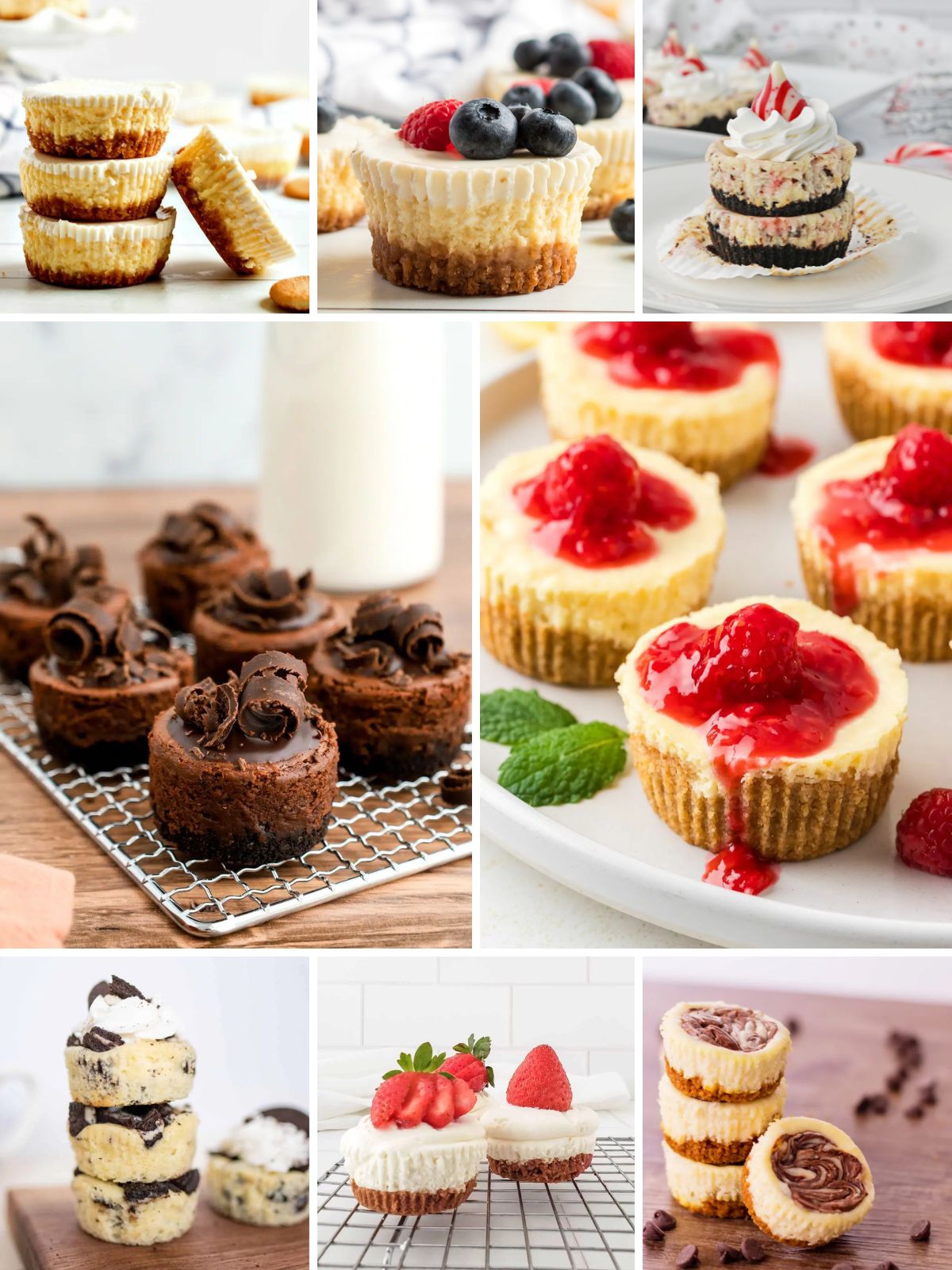 A collage of mini cheesecakes in different flavors, including classic, chocolate, raspberry, strawberry, and swirled mini cheesecakes with various toppings and crusts.