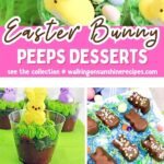 Easy Easter desserts with Peeps featuring colorful bunny treats cakes cookies and no bake ideas kids will love