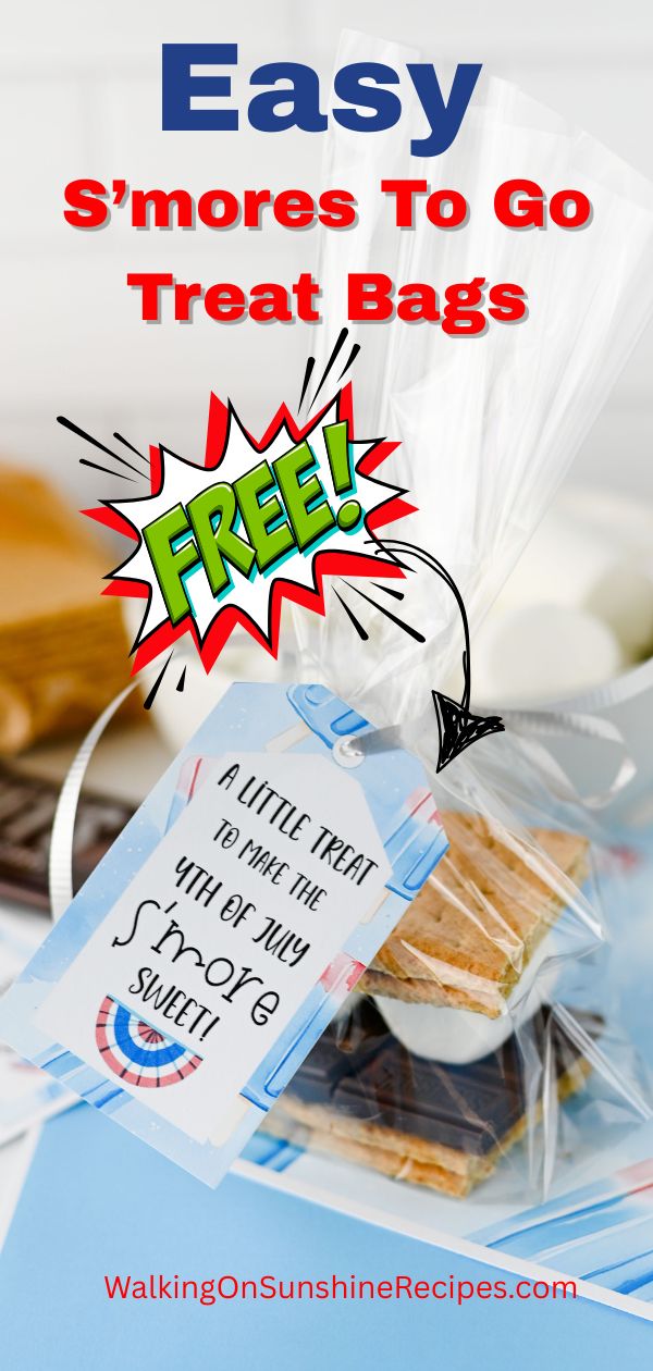 Easy s’mores to go treat bags with graham crackers, chocolate, and marshmallows in clear gift bags with printable tags.