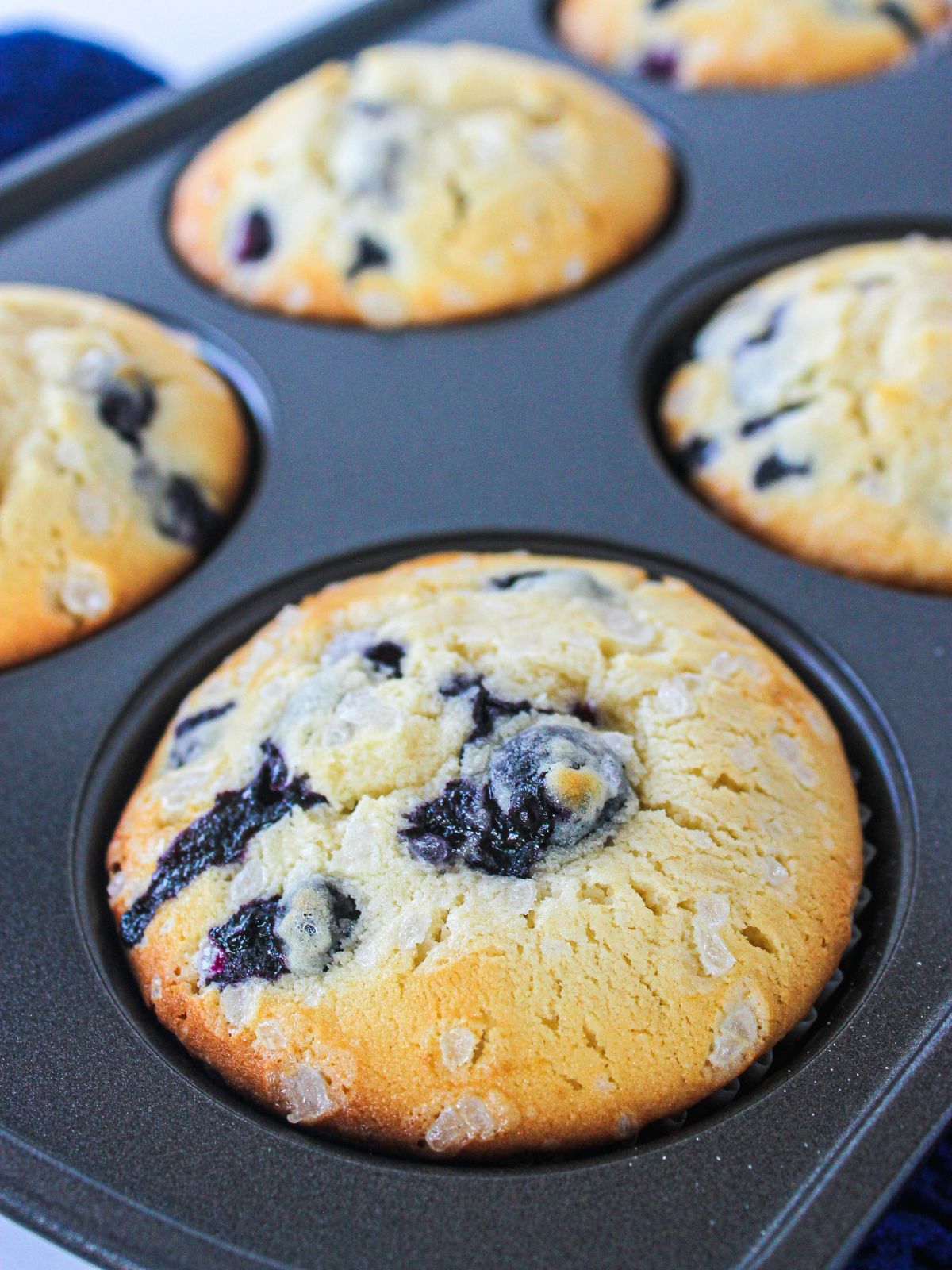 closeup of blueberry muffins baked in muffin pan.